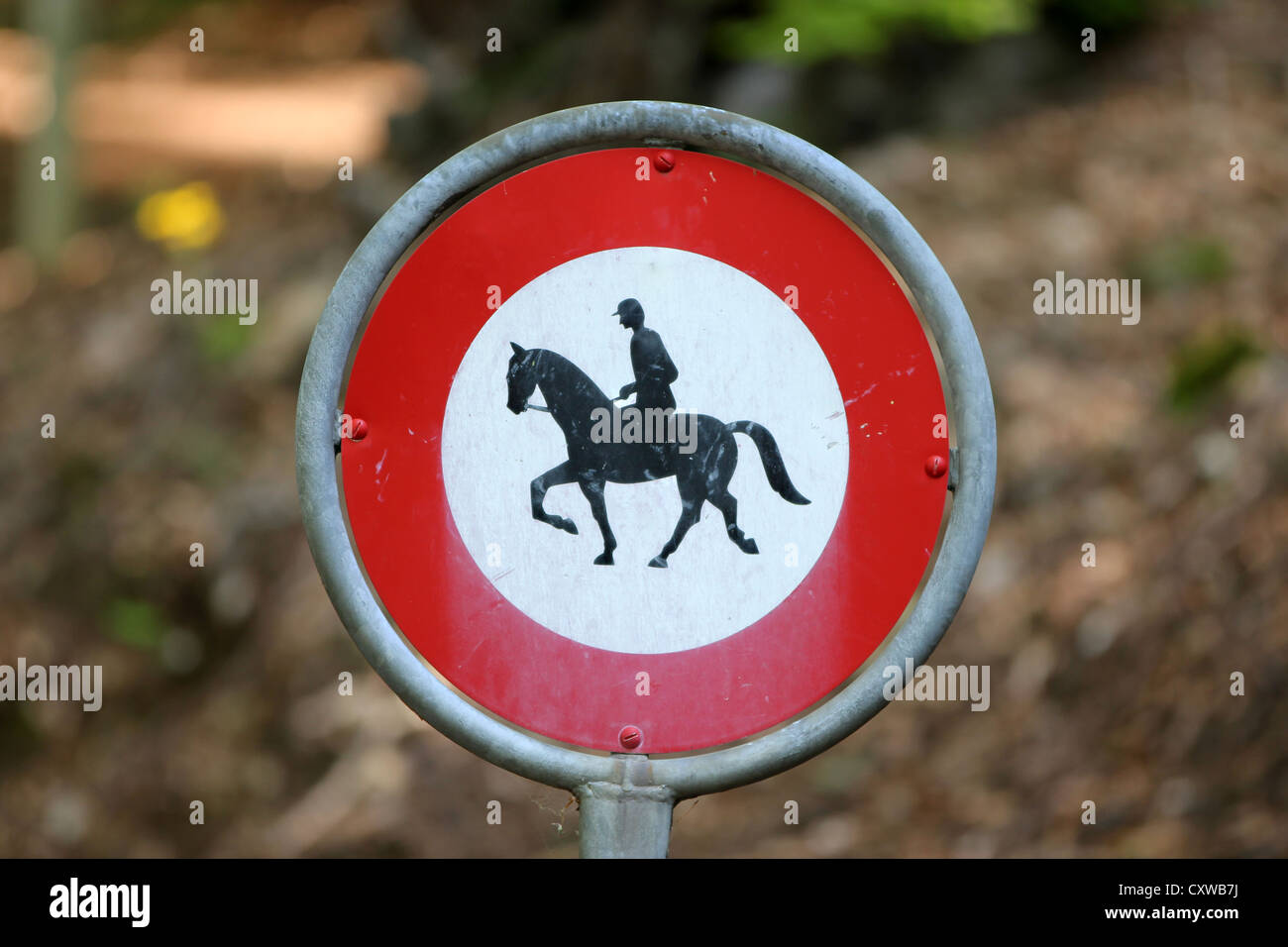 No equitazione boschi segno, tracking, equitazione, boschi, natura, viaggi, photoarkive Foto Stock