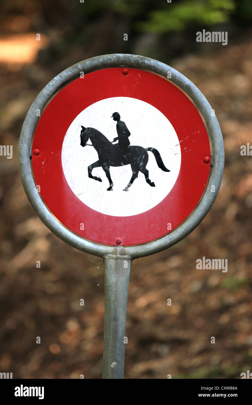 No equitazione boschi segno, tracking, equitazione, boschi, natura, viaggi, photoarkive Foto Stock