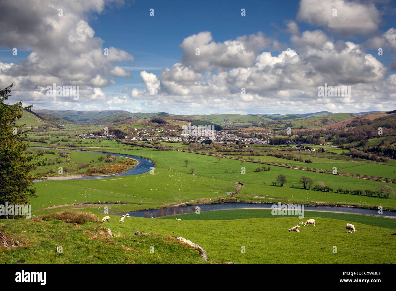 Una vista di Machynlleth, POWYS, ad ovest della città dalla cima di un misuratore 100 hill mostra il fiume dovey e delle aree circostanti Foto Stock