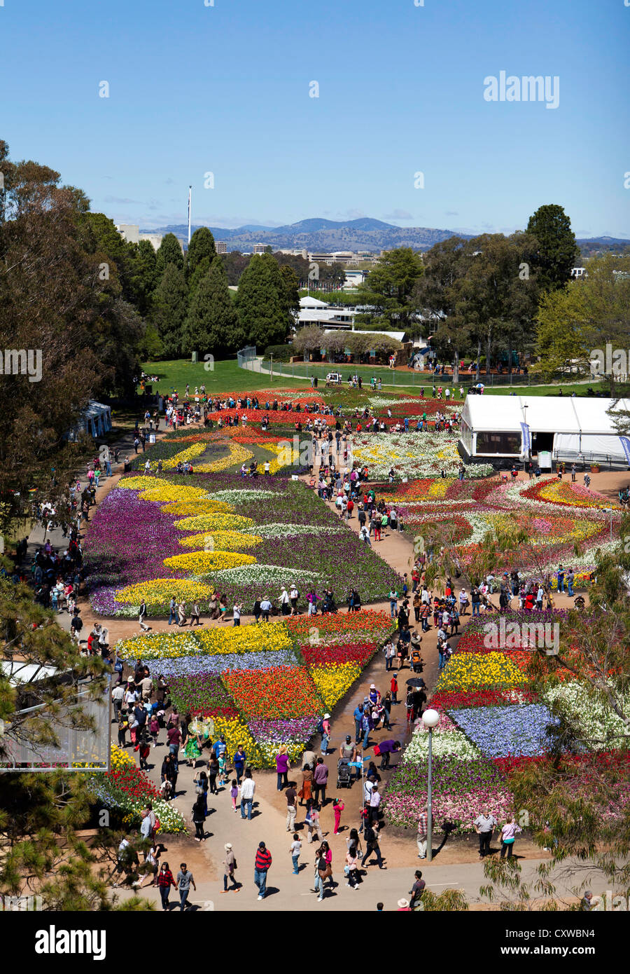 Veduta aerea del tulip visualizza a Floriade, Commonwealth Park, Canberra, Australia Foto Stock