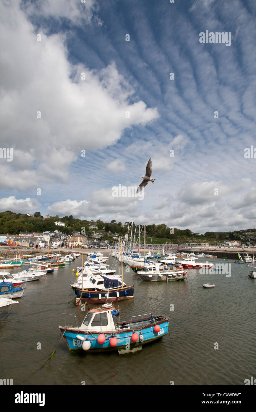 Lyme Regis porto dalla Cobb, Dorset, England, Regno Unito Foto Stock