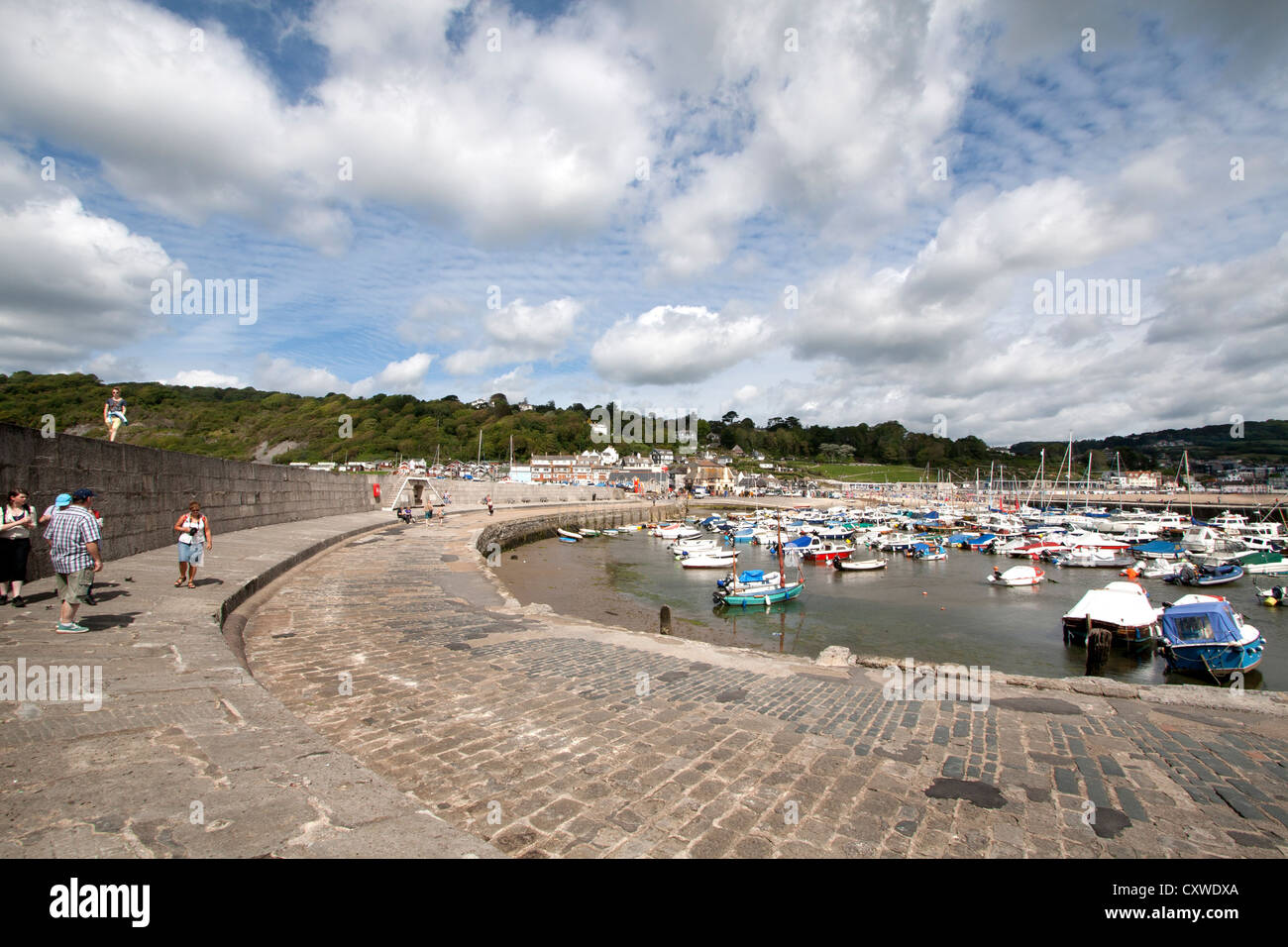Lyme Regis porto dalla Cobb, Dorset, England, Regno Unito Foto Stock