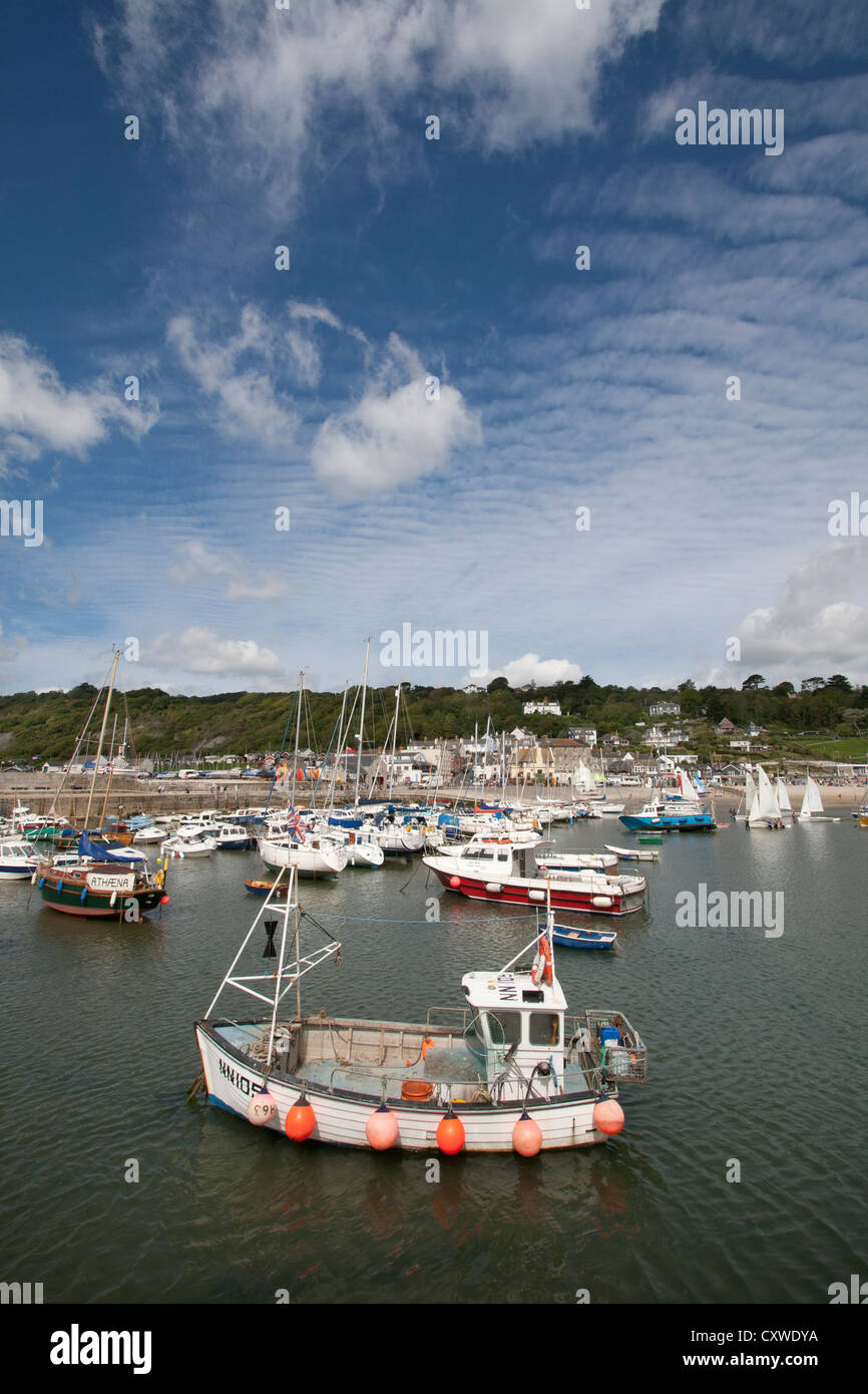 Lyme Regis porto dalla Cobb, Dorset, England, Regno Unito Foto Stock