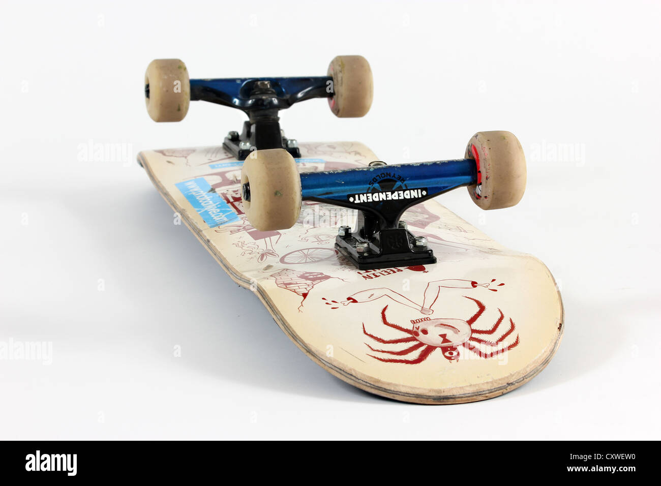 Skateboard su sfondo bianco, mazzo, completare il setup, vista dal basso di skateboard, camion, skateboard, deck, ruote Foto Stock