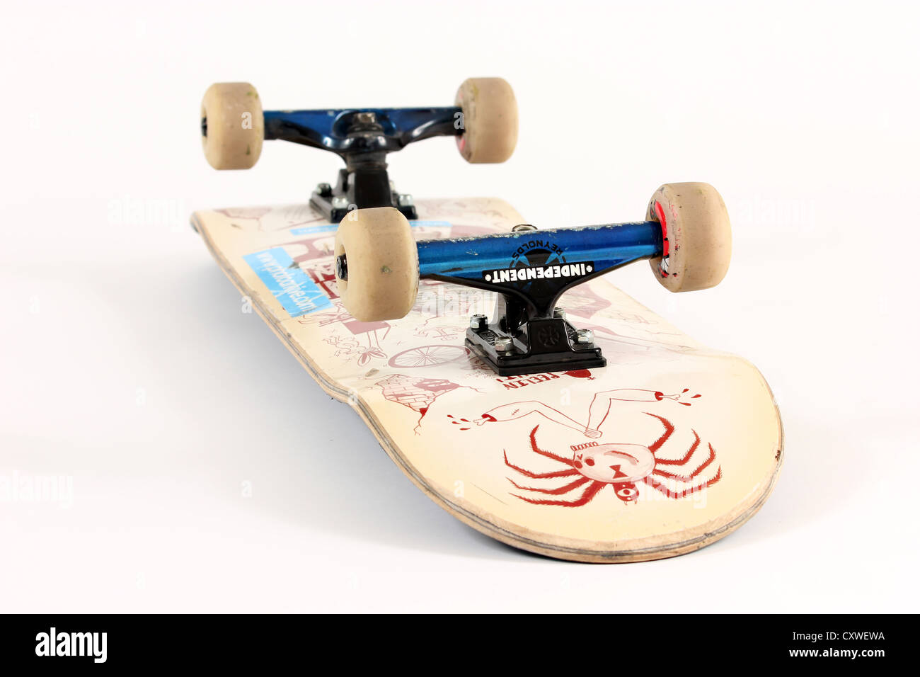 Skateboard su sfondo bianco, mazzo, completare il setup, vista dal basso di skateboard, camion, skateboard, deck, ruote Foto Stock