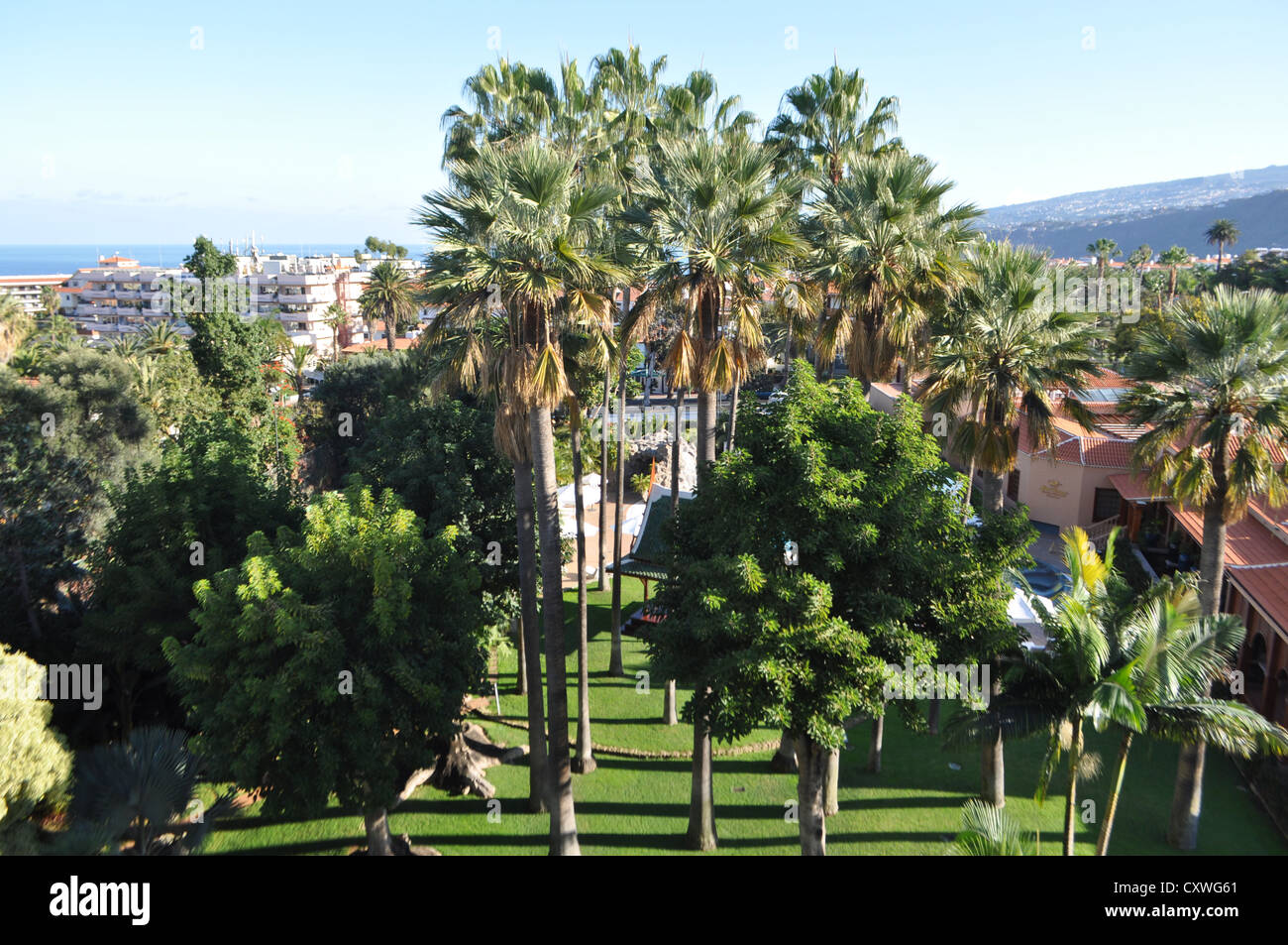 L'Hotel Botanico Tenerife Foto Stock