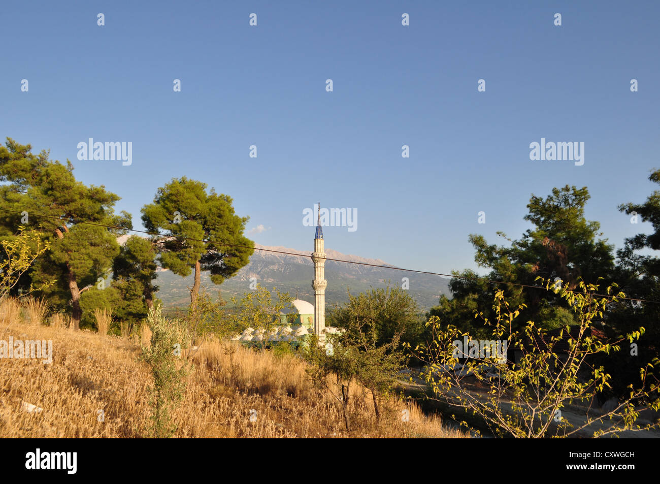 Moschea in Turchia Foto Stock