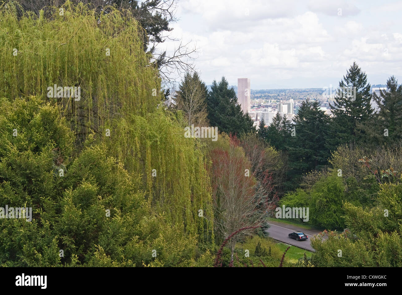 Un car guida attraverso il Washington Park in colline di Portland, Oregon. Foto Stock