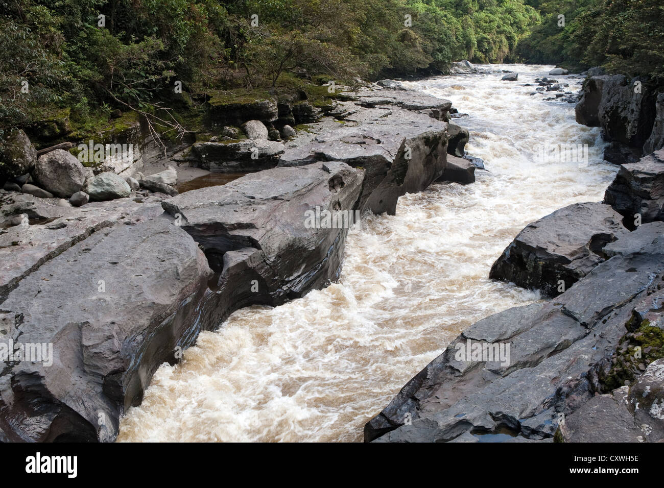 Fiume Magdalena vicino a San Agustín, Colombia Foto Stock