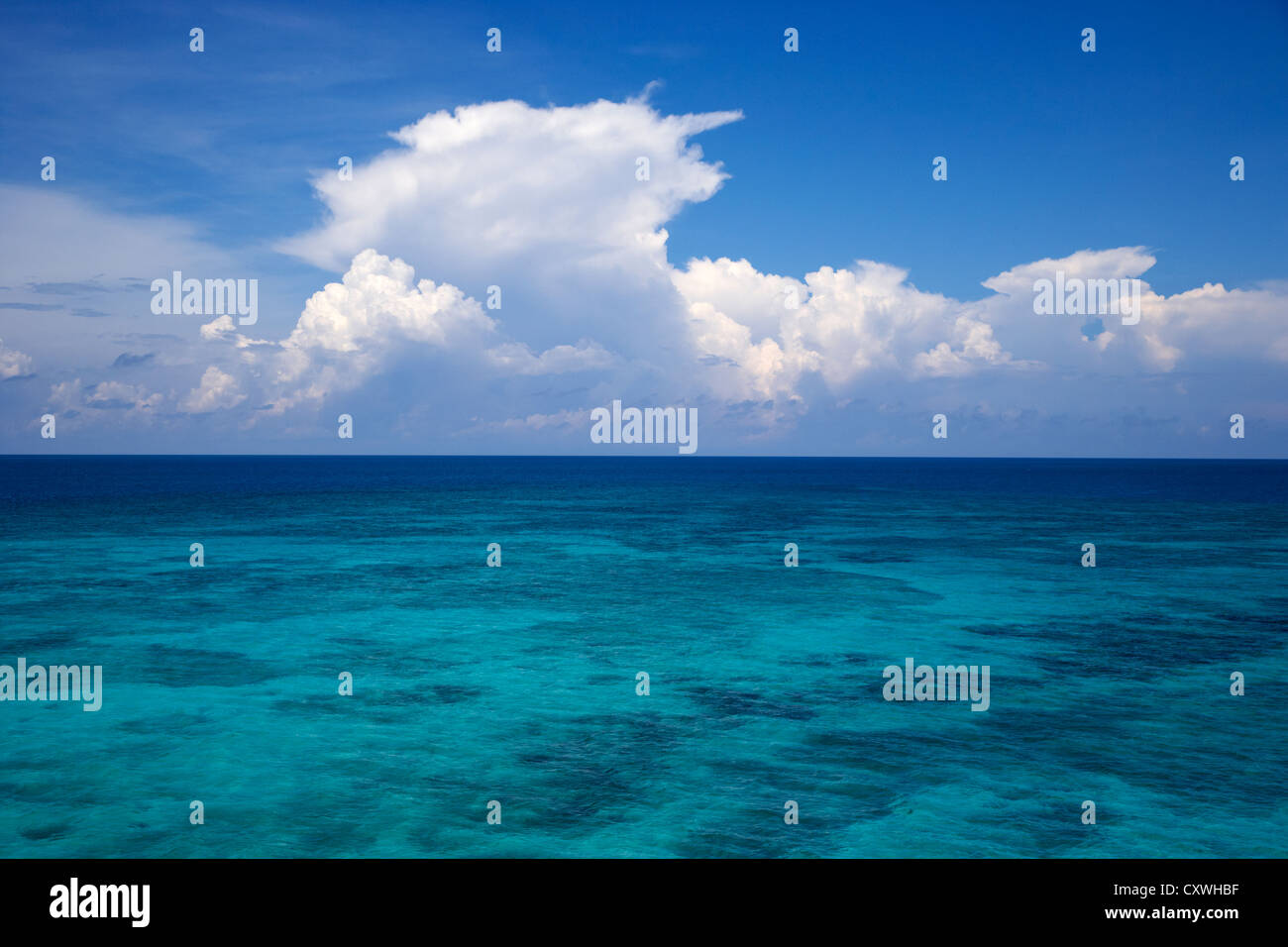 Affacciato sulla scogliera poco profondo blu cielo nuvoloso nel golfo del Messico Dry Tortugas Florida keys usa Foto Stock