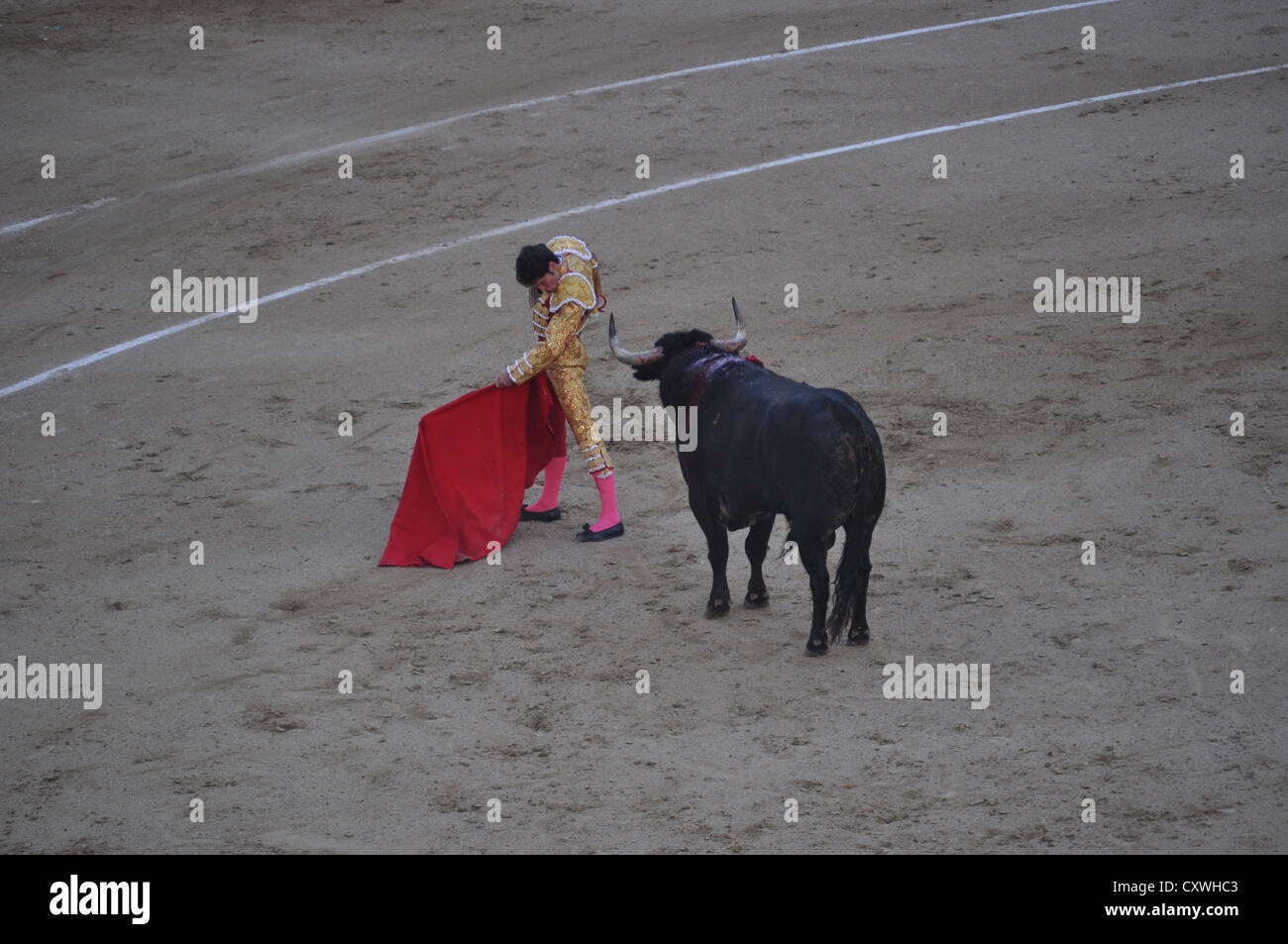 La corrida Las Ventas Madrid Foto Stock