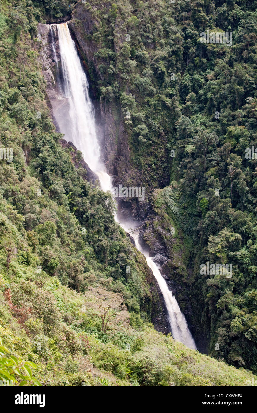 Salto de Bordones, cascata (tradotto significa bastone da passeggio) Fiume Magdalena, Parco Nazionale Puracé, Colombia Foto Stock