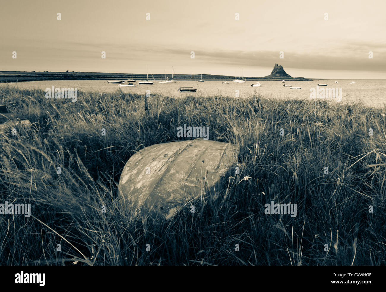 A Isola Santa, Duo tone immagine guardando verso il castello, Foto Stock