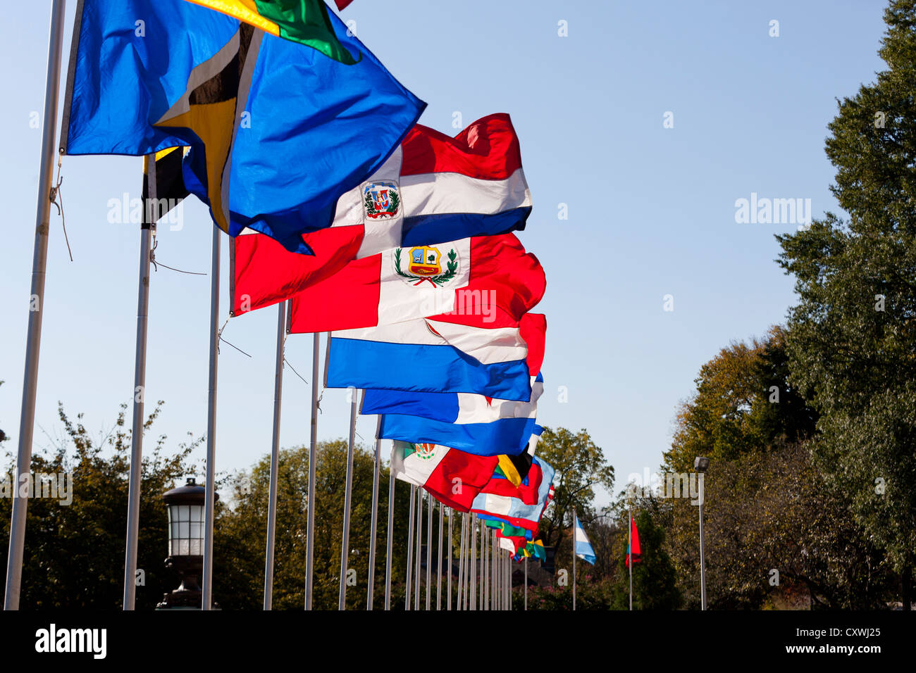 Multi bandiere nazionali su pali Foto Stock