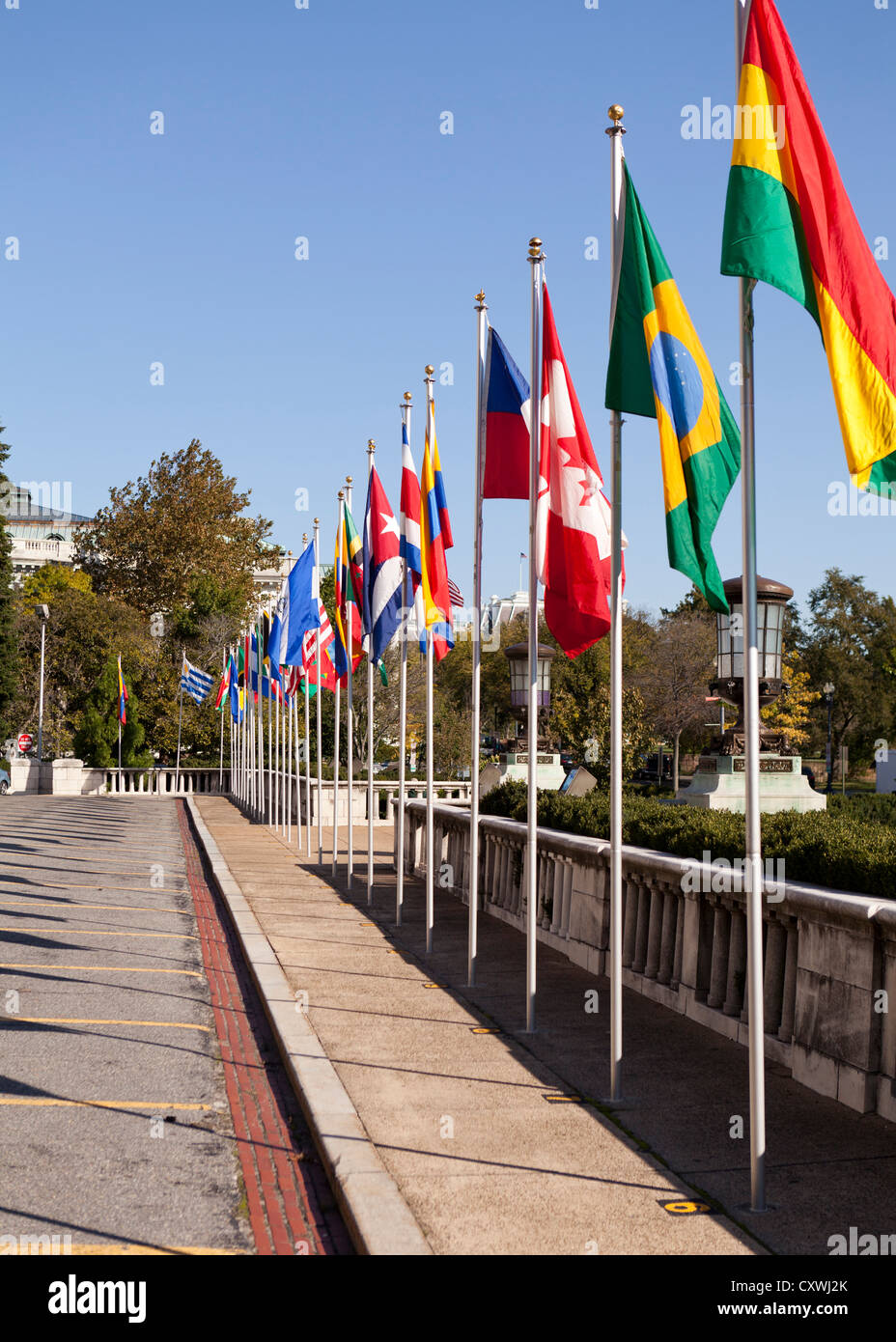 Multi bandiere nazionali su pali Foto Stock