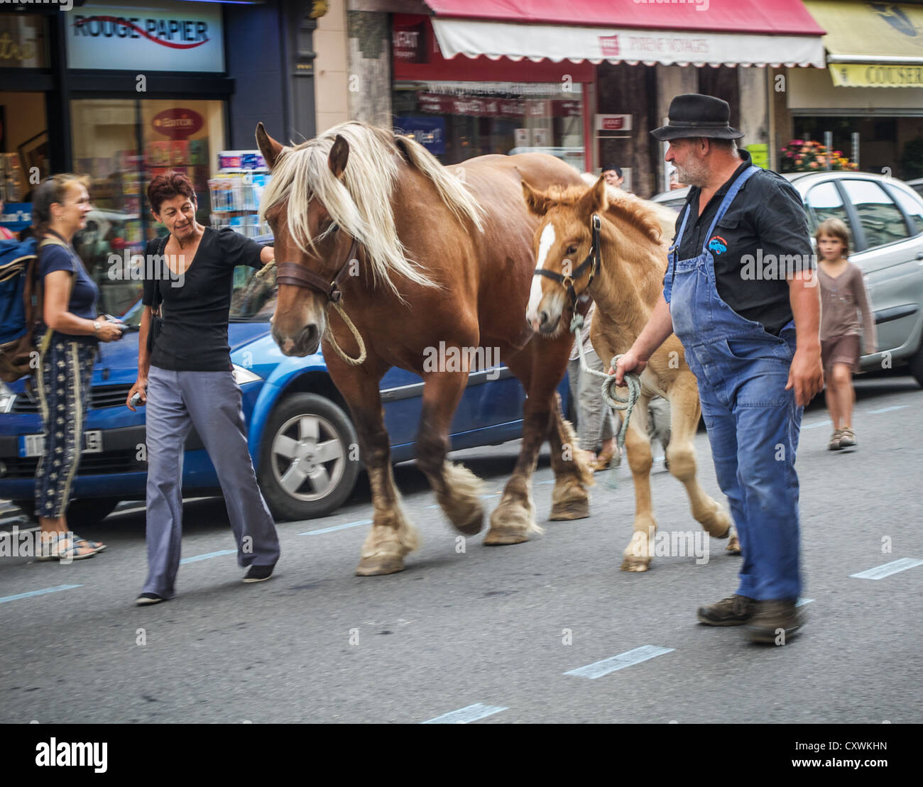 2 adulti cavalli a piedi attraverso San GIRONS, Francia durante l'Autrefois Le Couserons parata annuale. Foto Stock