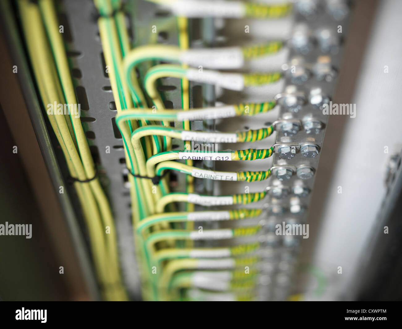 Close up dei cavi sul computer server Foto Stock