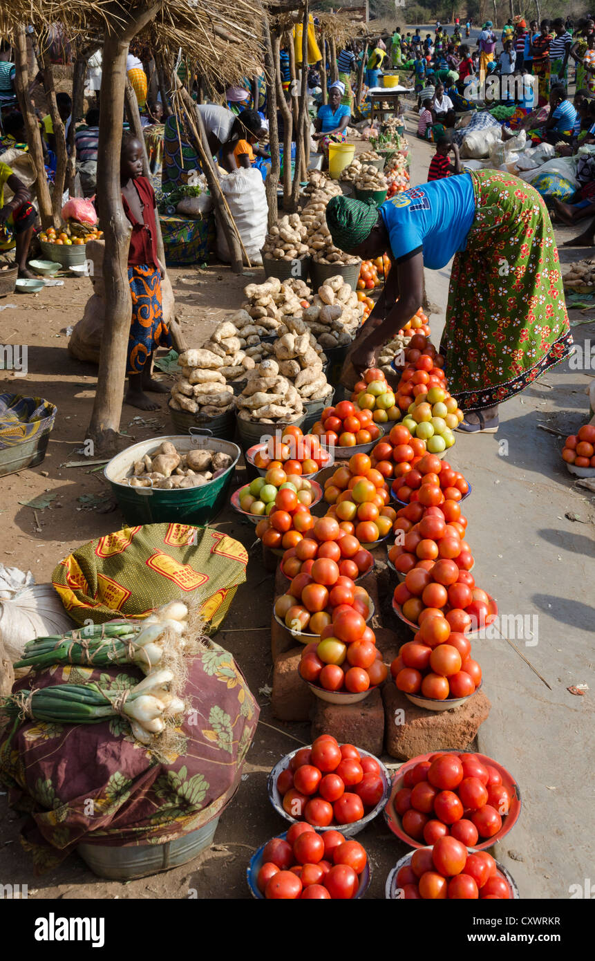 Lato vegetale road market. Strada per Sinazongwe. Zambia Foto Stock