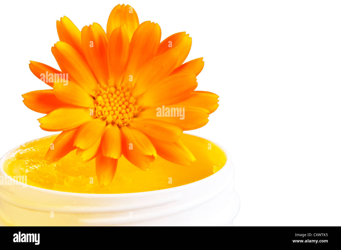 Tagete con la Pomata alla Calendula per digestione Foto Stock