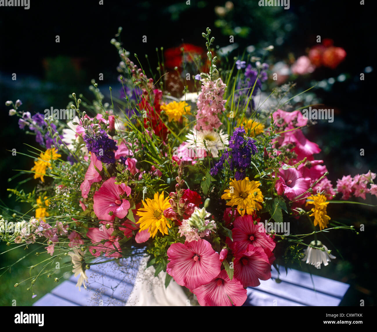 Ancora vita fiori all'aperto Foto Stock