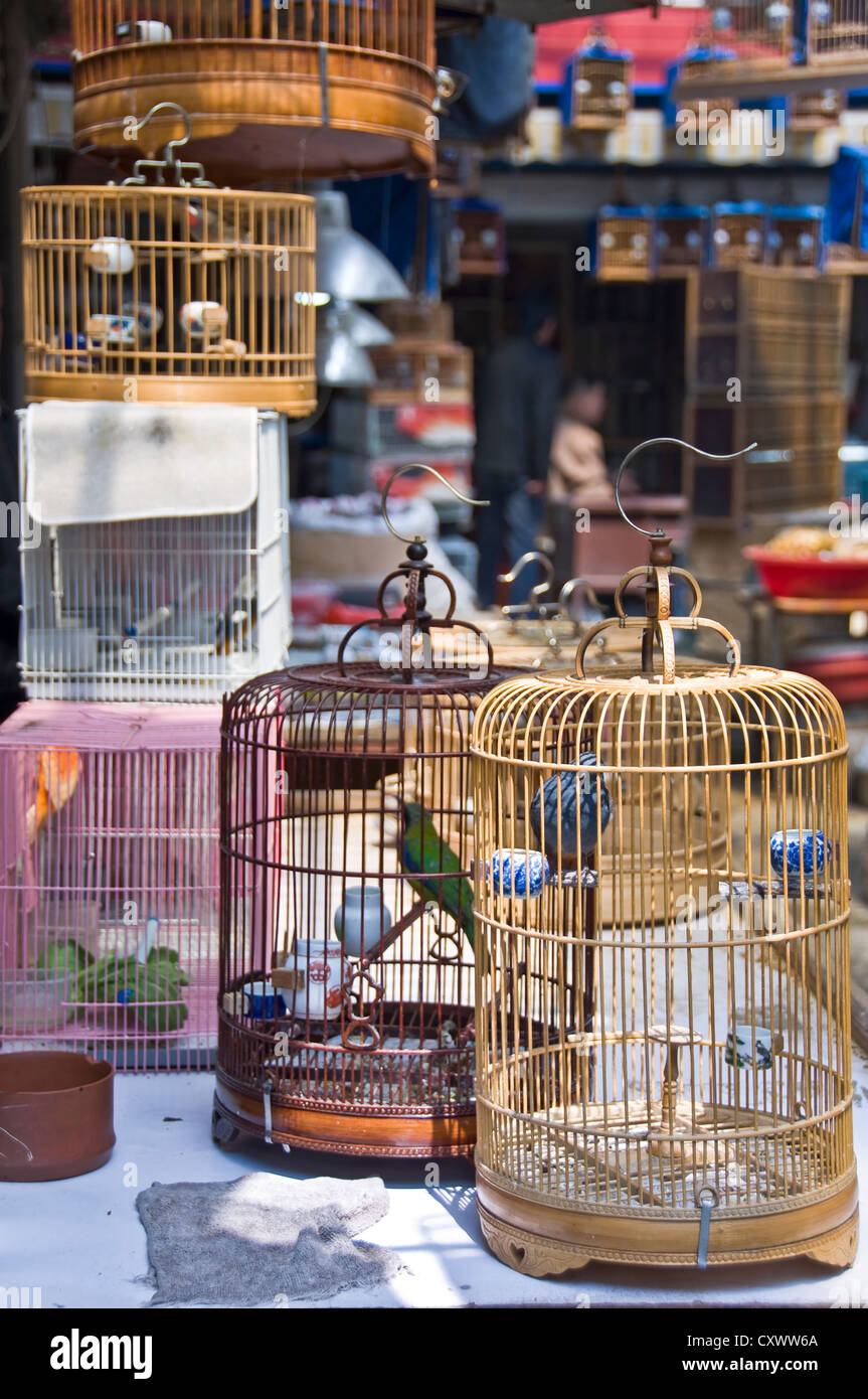 Gabbie di uccelli su Wansheng Bird & Flower Market - Shanghai, Cina Foto Stock
