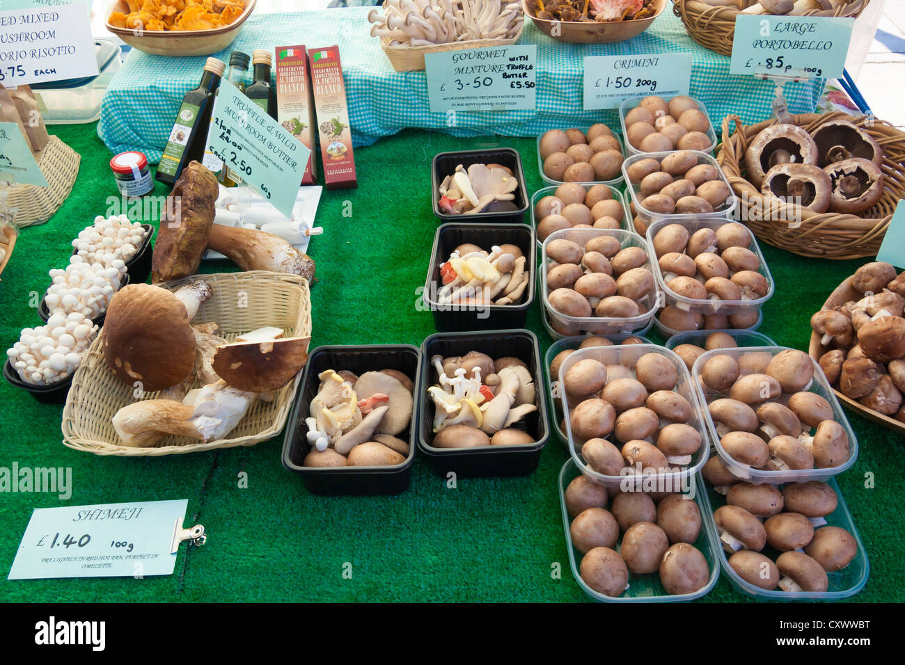 Un display di molte varietà di funghi da un fornitore specializzato in un mercato degli agricoltori nel North Yorkshire Inghilterra Foto Stock