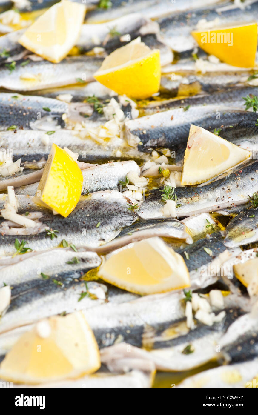 Piatto di frutti di mare con pesce (aringa del Baltico) marinato con limone e aglio Foto Stock