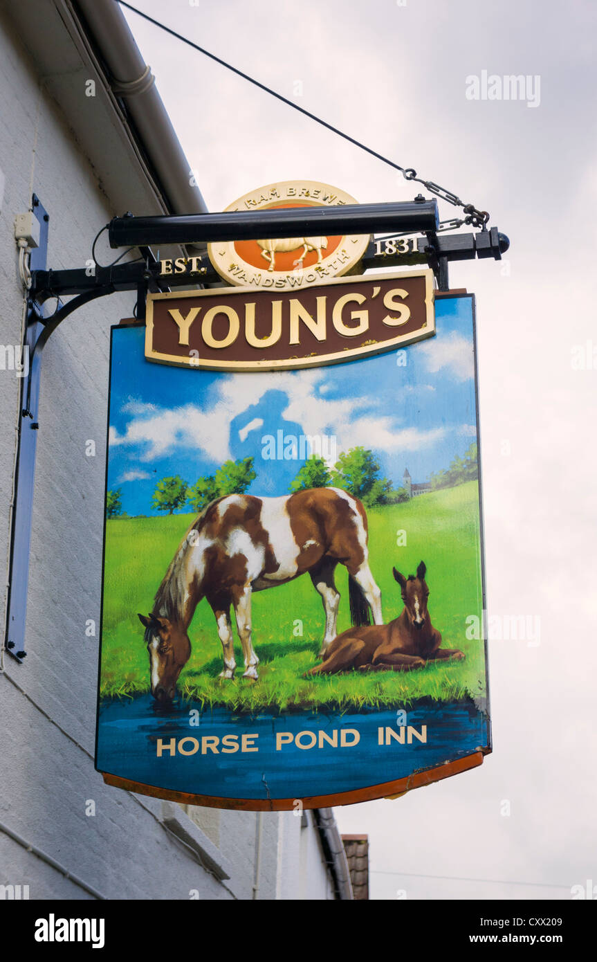 Segno di pub per un Youngs pub, il cavallo Pond Inn Foto Stock