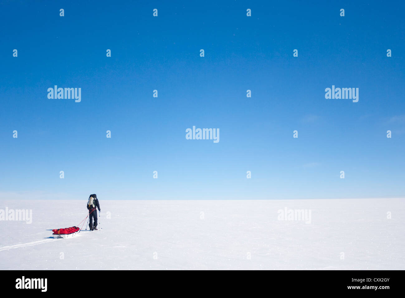 Esploratore polare alaggio slitta, da soli nella tundra artica, la Groenlandia Foto Stock