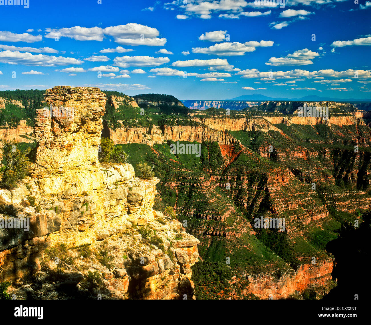 Il North Rim offre un ambiente sereno e coinvolgente il Grand Canyon esperienza. Essa è più remote e meno sviluppate di South Rim. Foto Stock