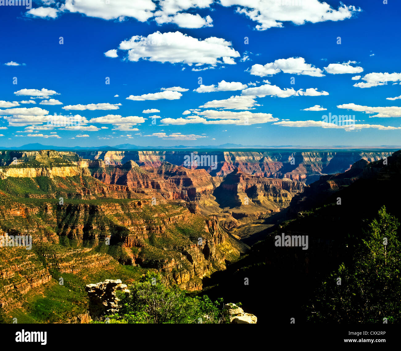 Il North Rim offre un ambiente sereno e coinvolgente il Grand Canyon esperienza. Essa è più remote e meno sviluppate di South Rim. Foto Stock