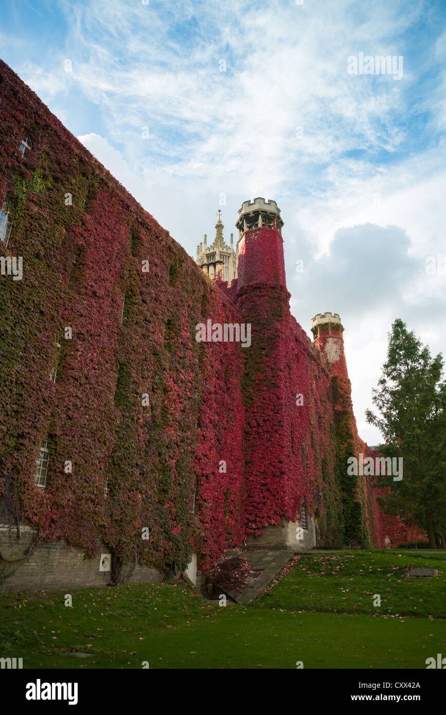 Rosso coperto di edera St Johns College in autunno, Università di Cambridge, Inghilterra. Foto Stock