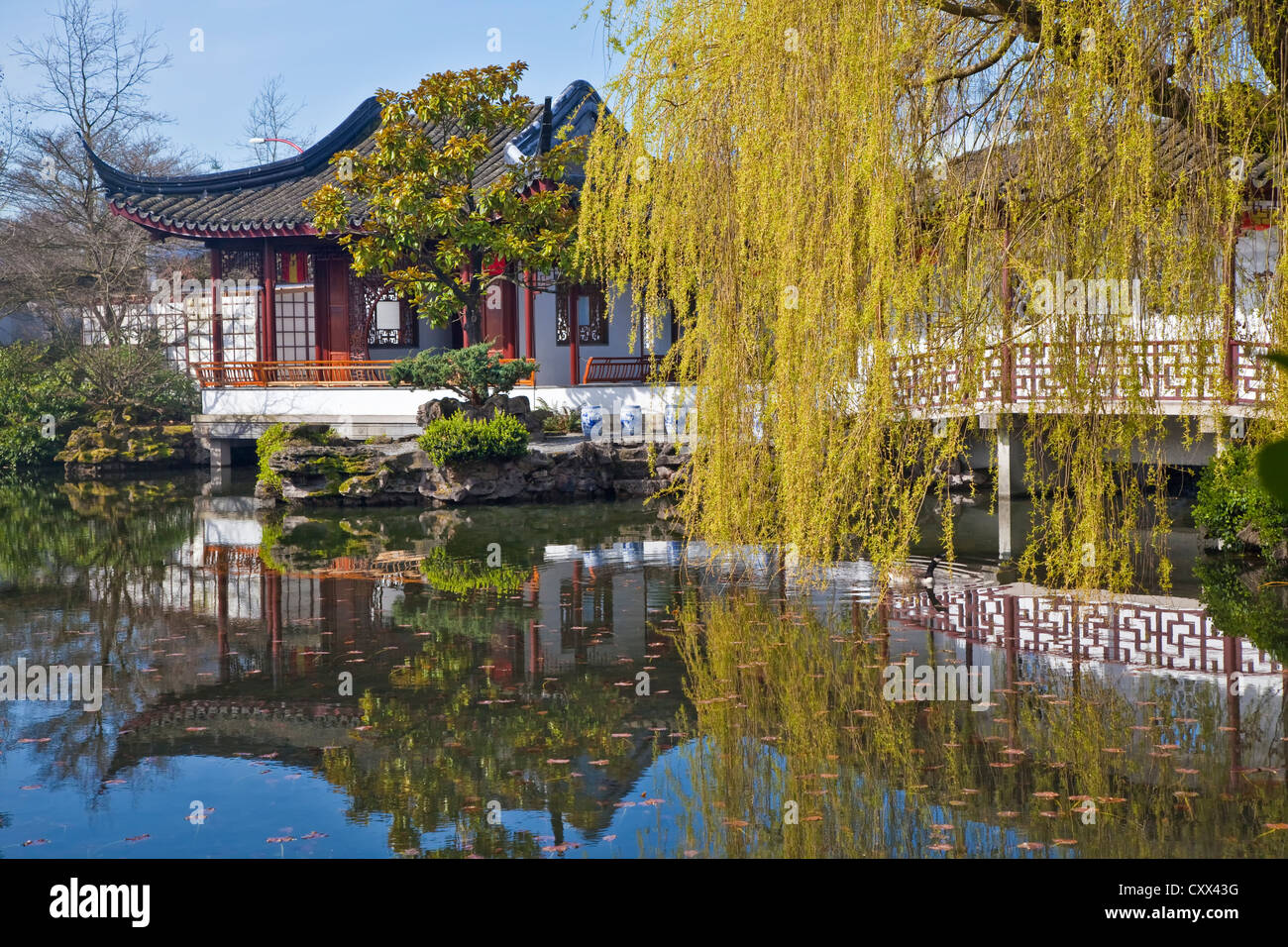 Punto di vista del Dr. Sun Yat-Sen classico giardino Cinese, Vancouver, British Columbia, Canada Foto Stock