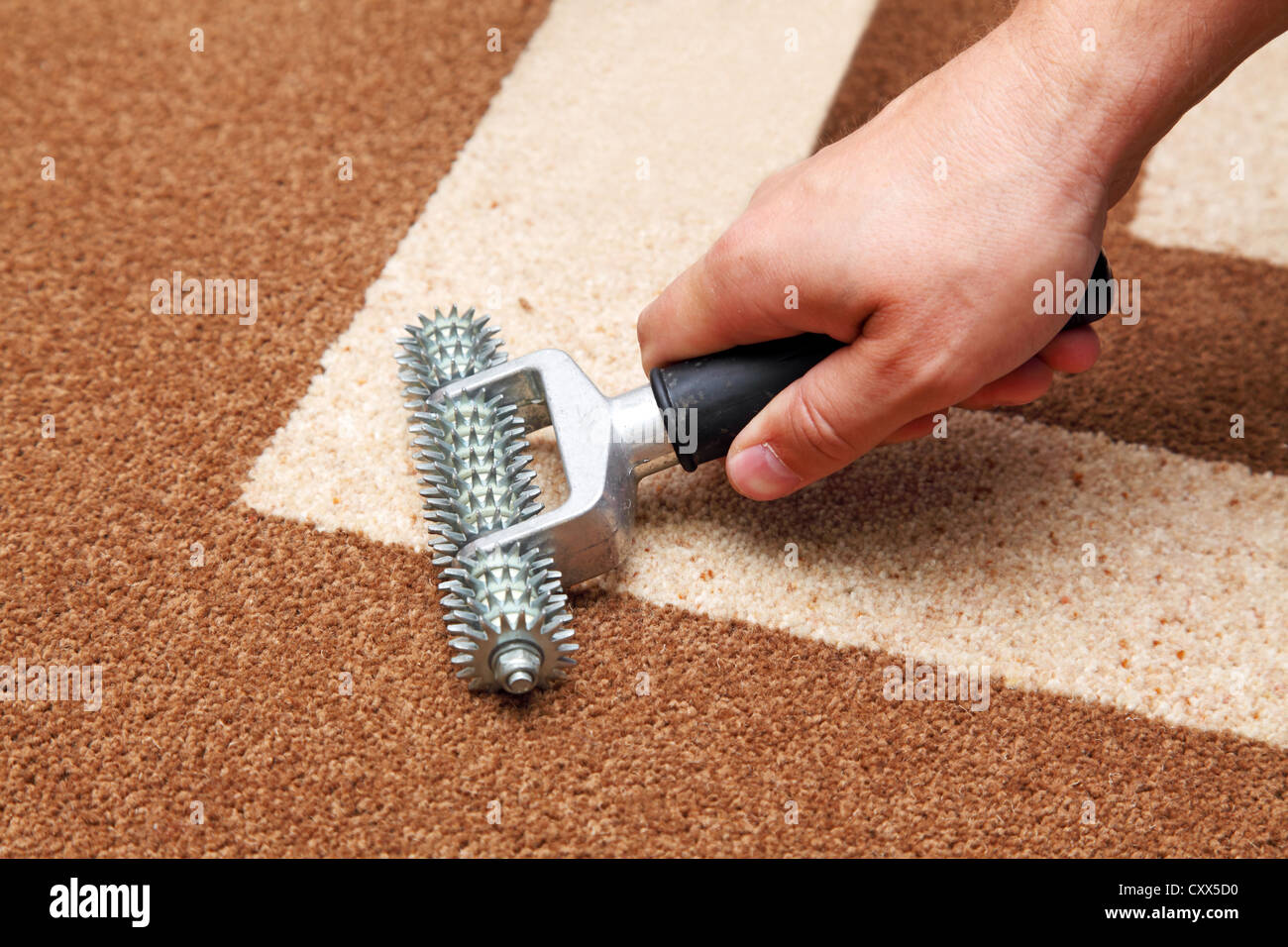 Installazione del tappeto, il programma di installazione esegue le cuciture Foto Stock