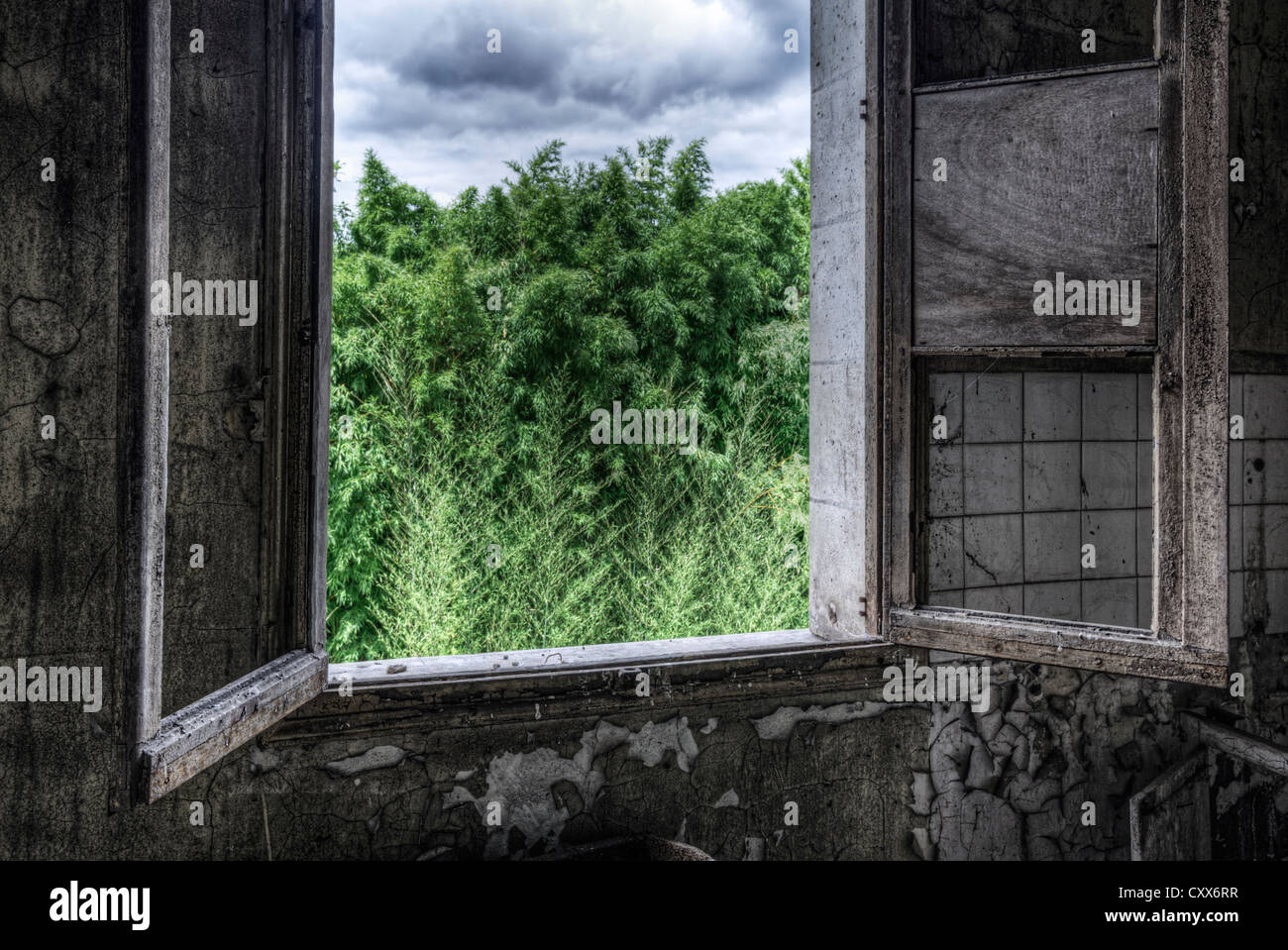 Rotto il telaio del finestrino all'interno di casa abbandonata Foto Stock