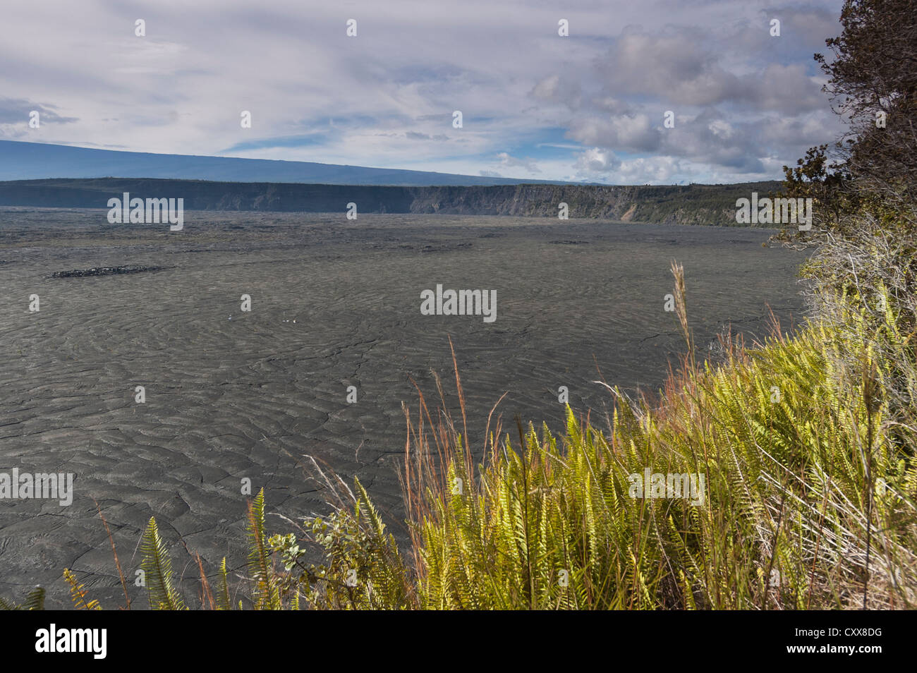 Elk284-2483 Hawaii, vulcani NP, Kilauea Caldera Foto Stock