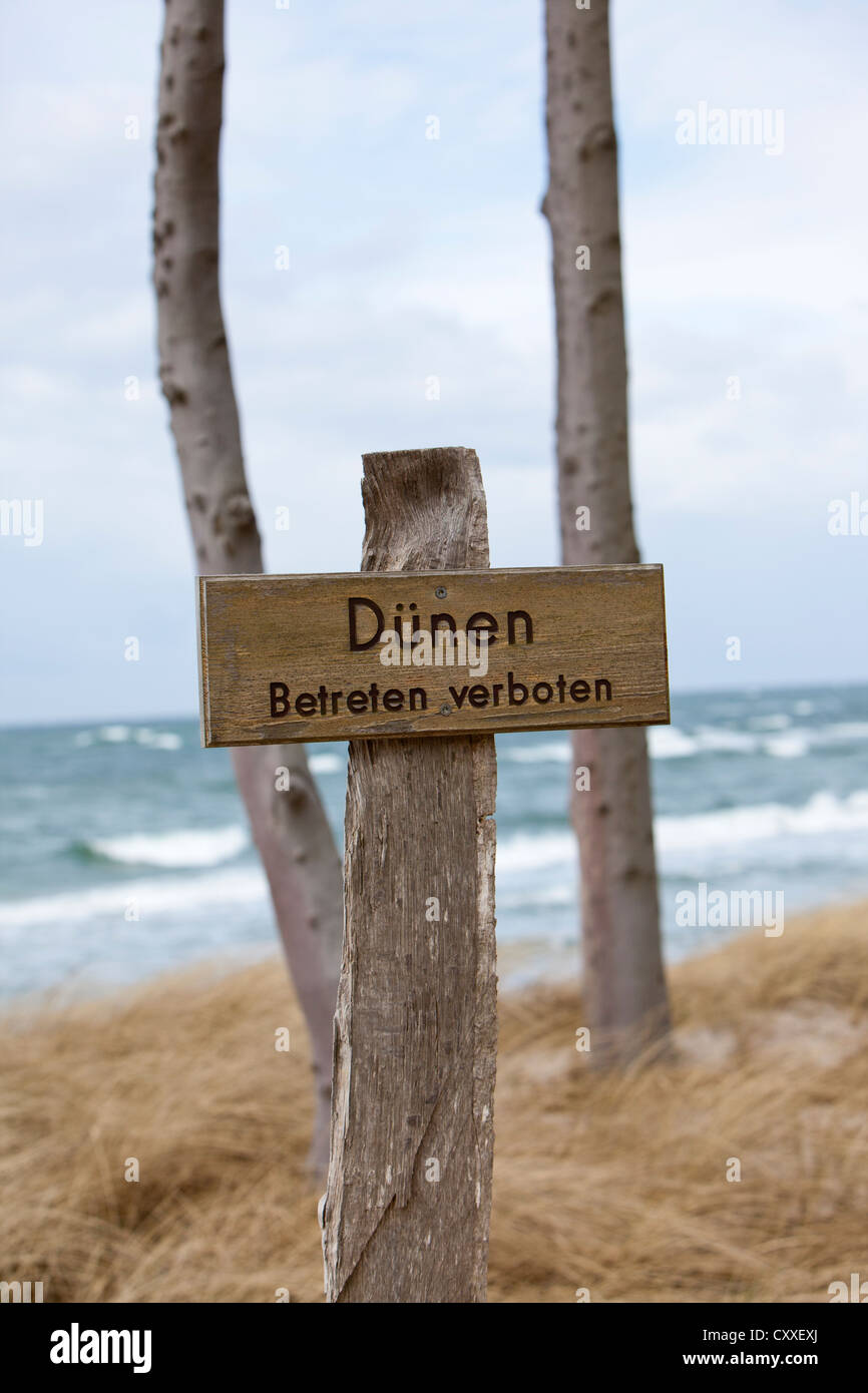 Croce di legno, segno di divieto, nessun segno di entrata, 'Duenen betreten verboten', Tedesco per 'dunes, non immettere', tedesco del Mar Baltico Foto Stock