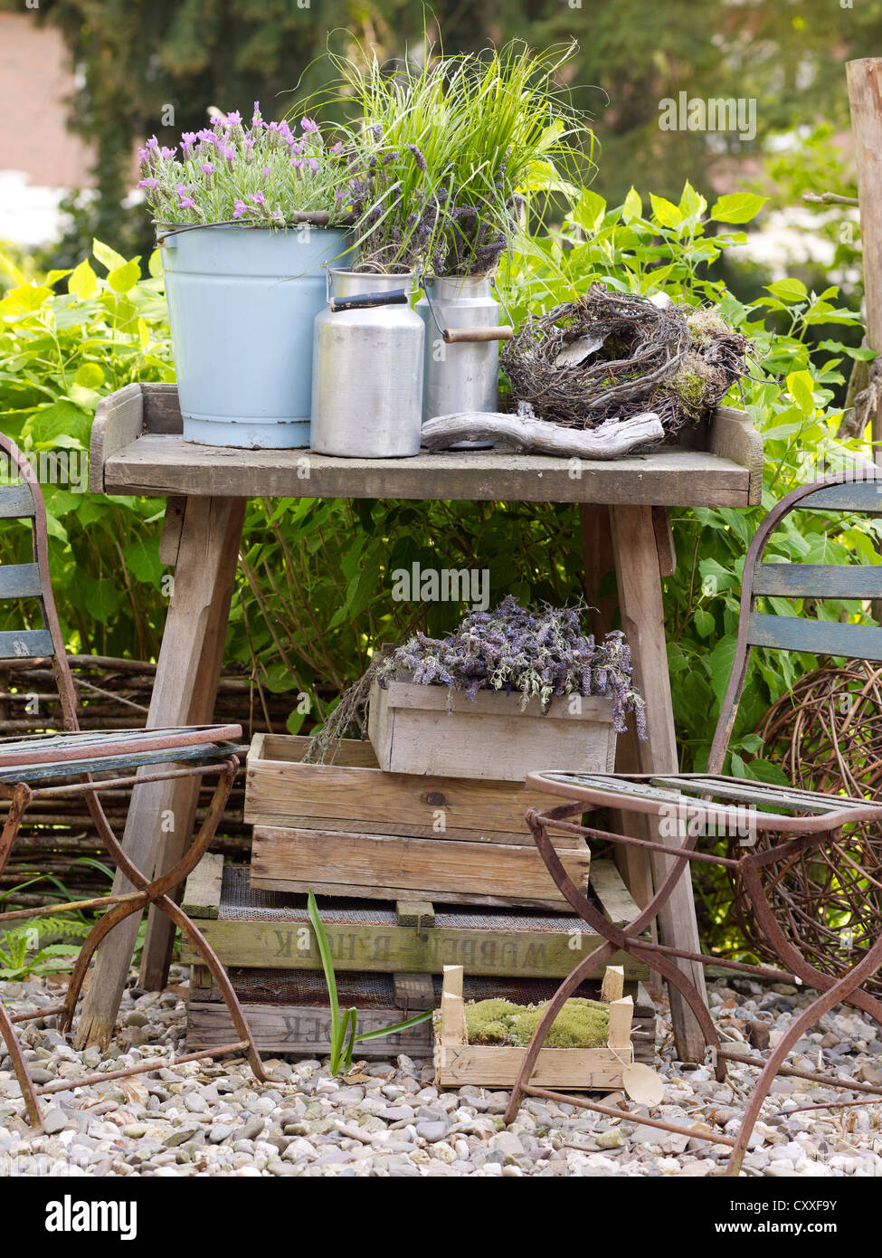 Still Life, decorativi Accessori giardino, caraffe di metallo su un vecchio  tavolo di legno in un giardino romantico Foto stock - Alamy