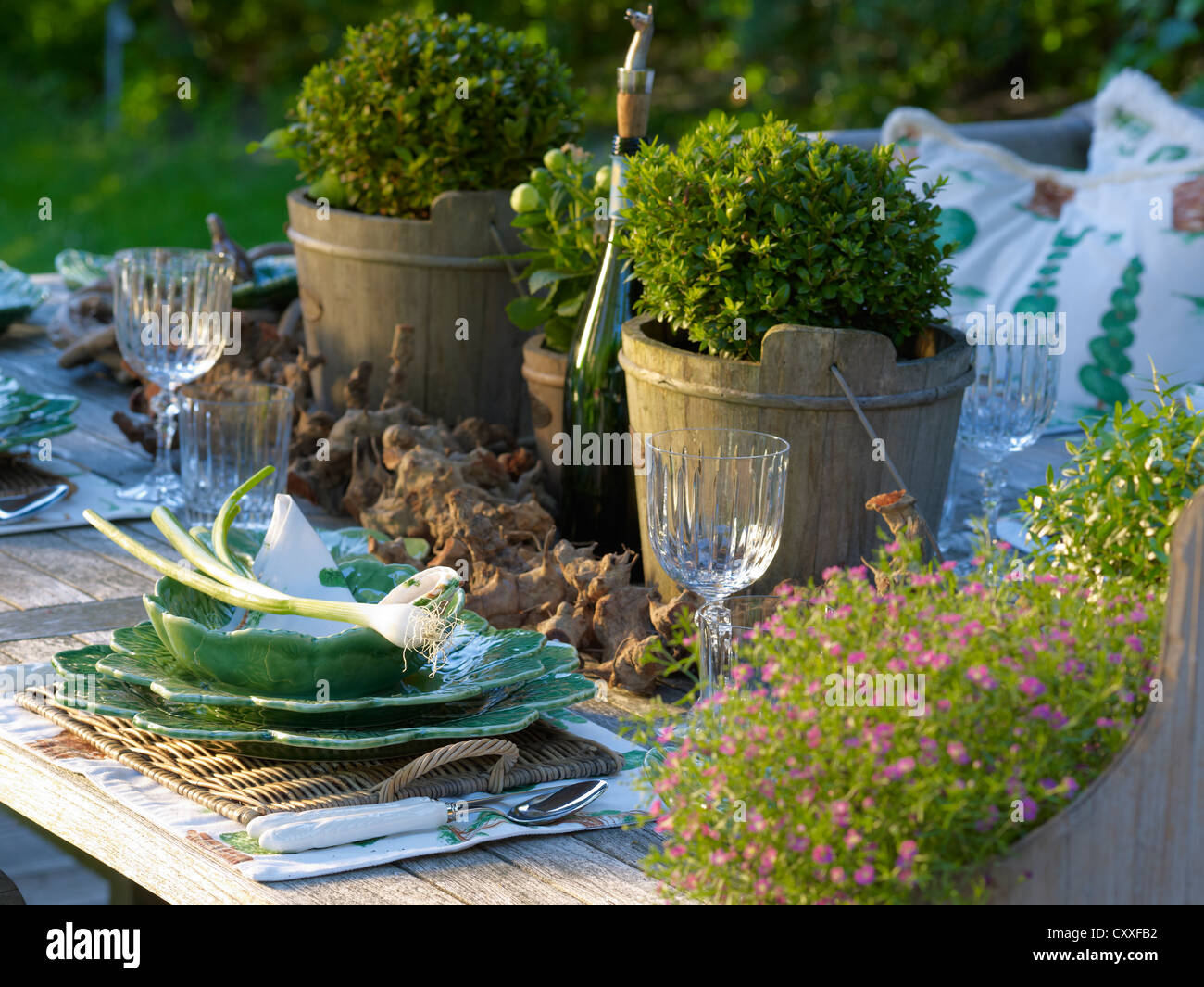 Elegantemente prevista in legno rustico tavolo da giardino con bella bone china Foto Stock