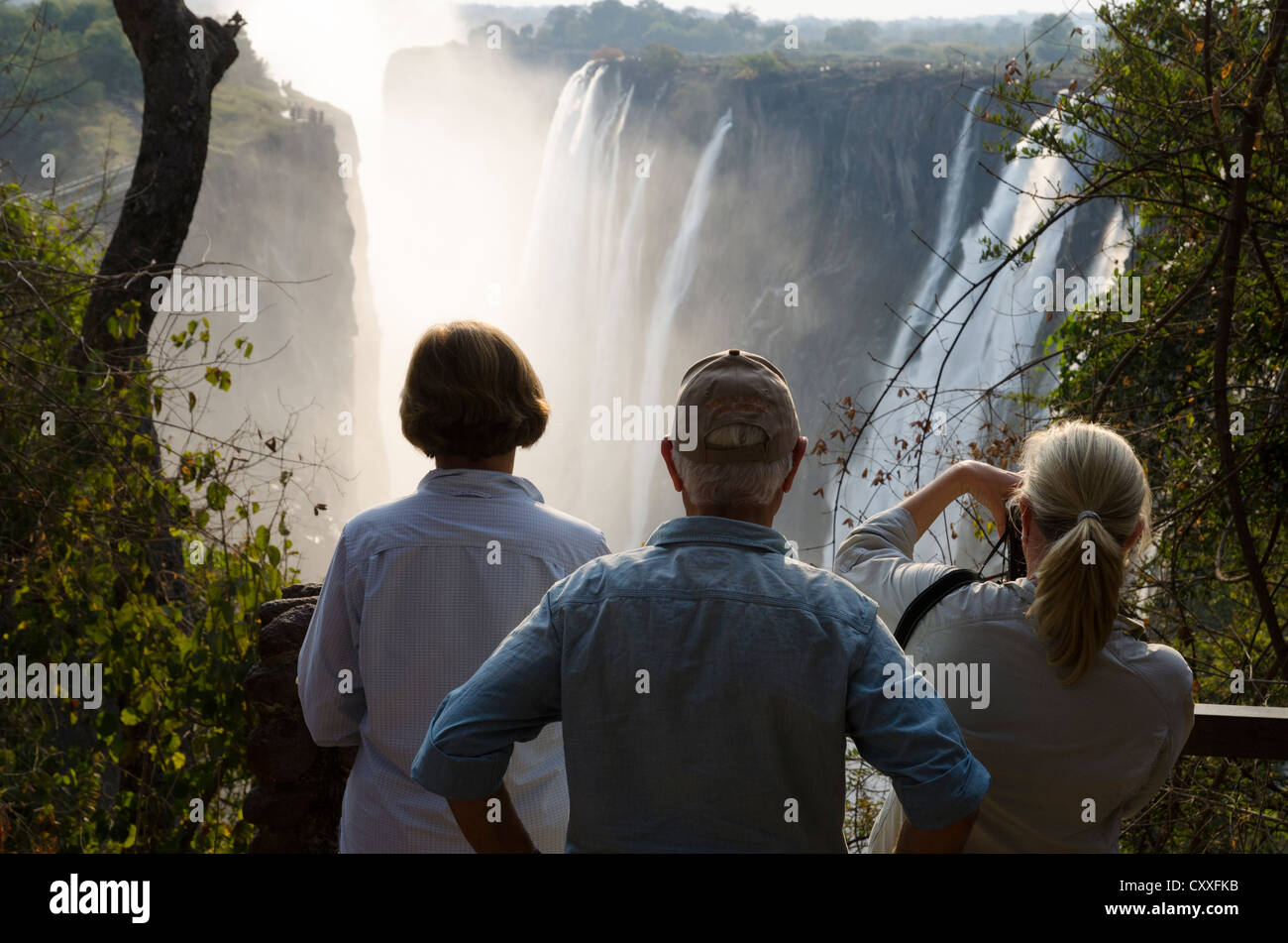 La Victoria Falls. Fiume Zambesi. Livingstone. Zambia. Foto Stock