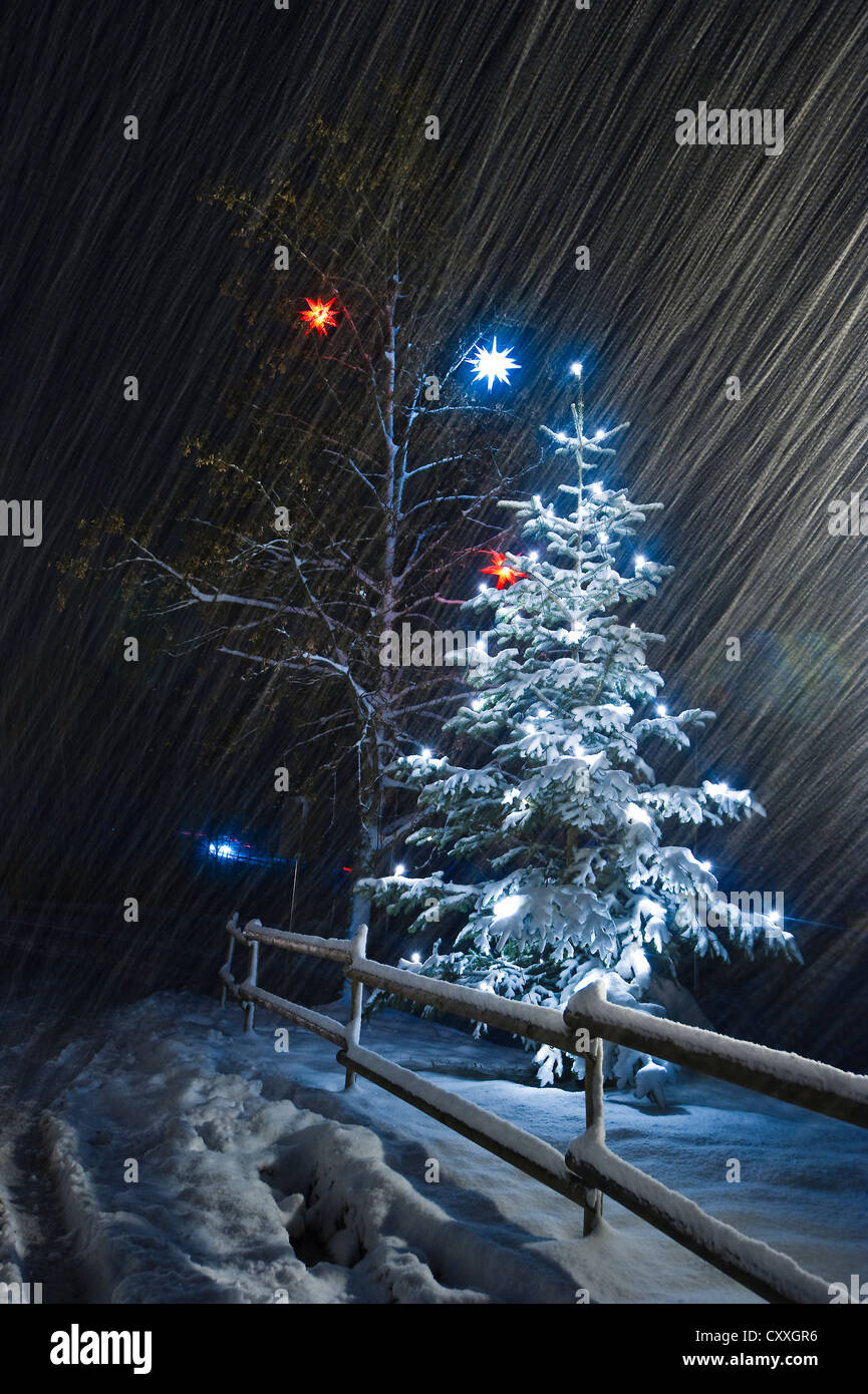 Illuminato albero di Natale nella neve, nevicata, Dreisamtal valley, Foresta Nera mountain range, Baden-Wuerttemberg Foto Stock