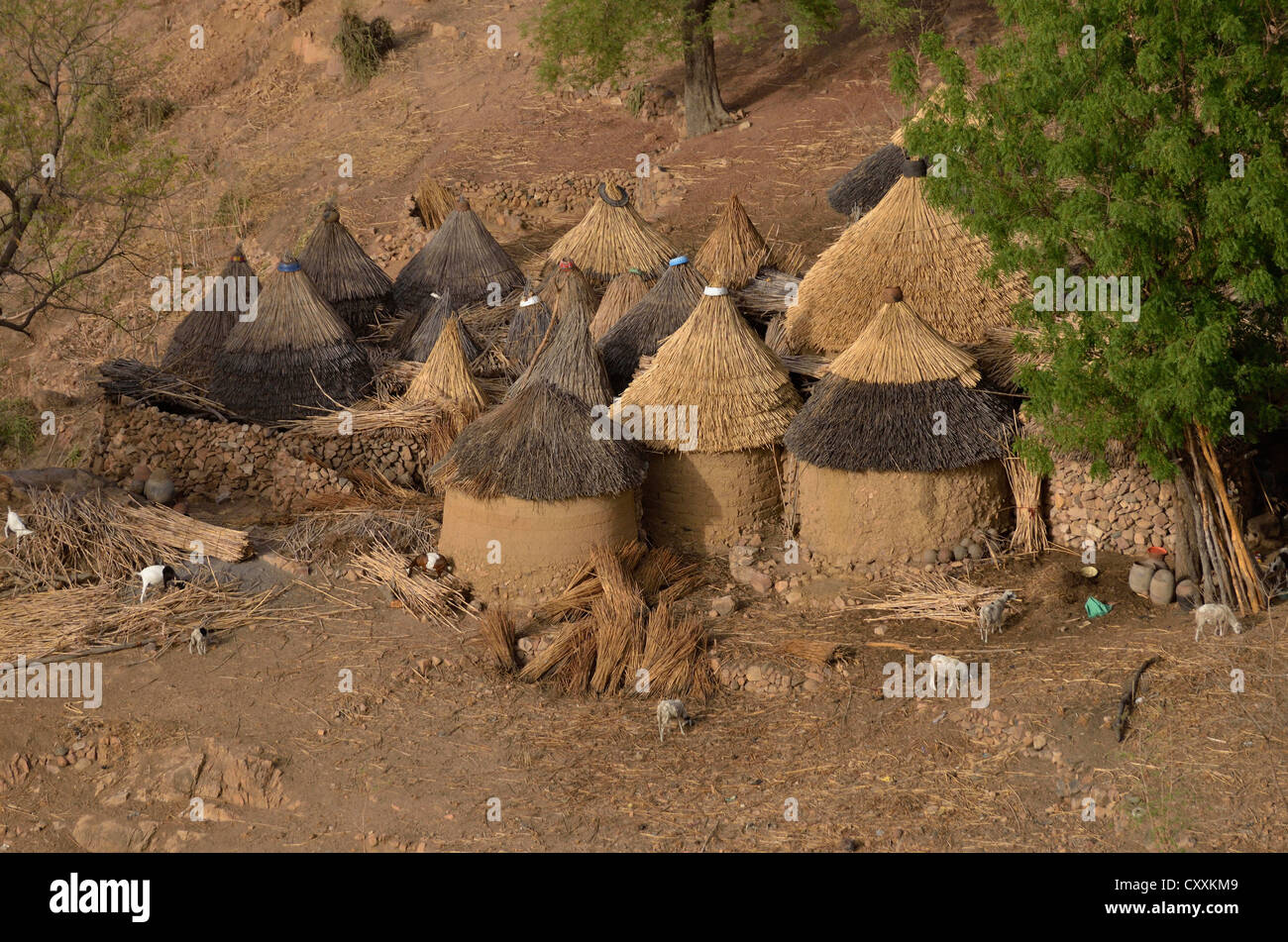 Villaggio con tipicamente rondavels con tetto in paglia in Mandara montagne, Camerun, Africa centrale, Africa Foto Stock