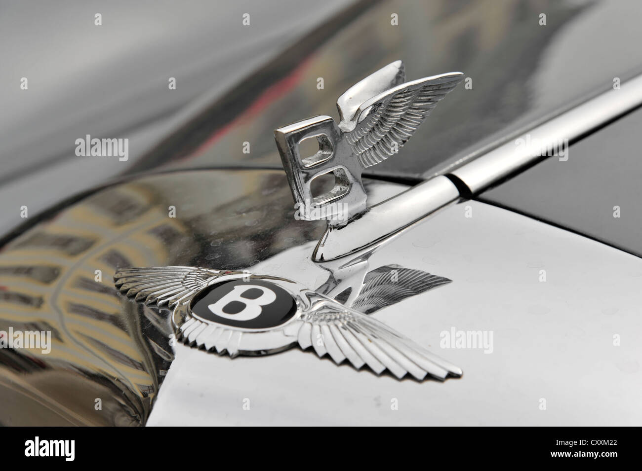 Bentley ornamento del cofano e il logo, classici del passato incontra il Barock 2012, Ludwigsburg, Baden-Wuerttemberg Foto Stock