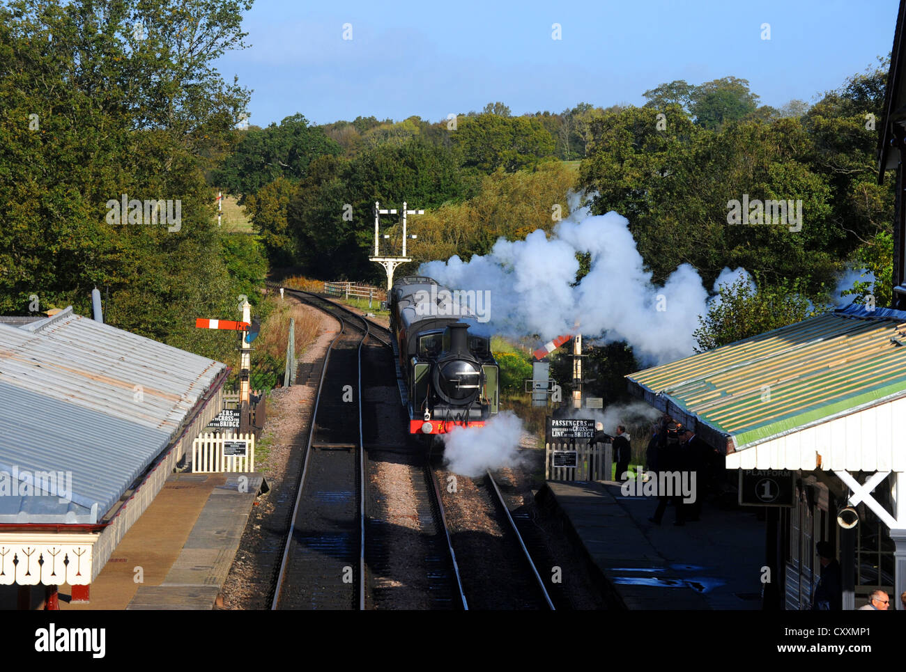 Locomotiva a vapore il treno 473 Boschetto di frusta a Sheffield Park Station on the Bluebell Linea ferroviaria SUSSEX REGNO UNITO Foto Stock