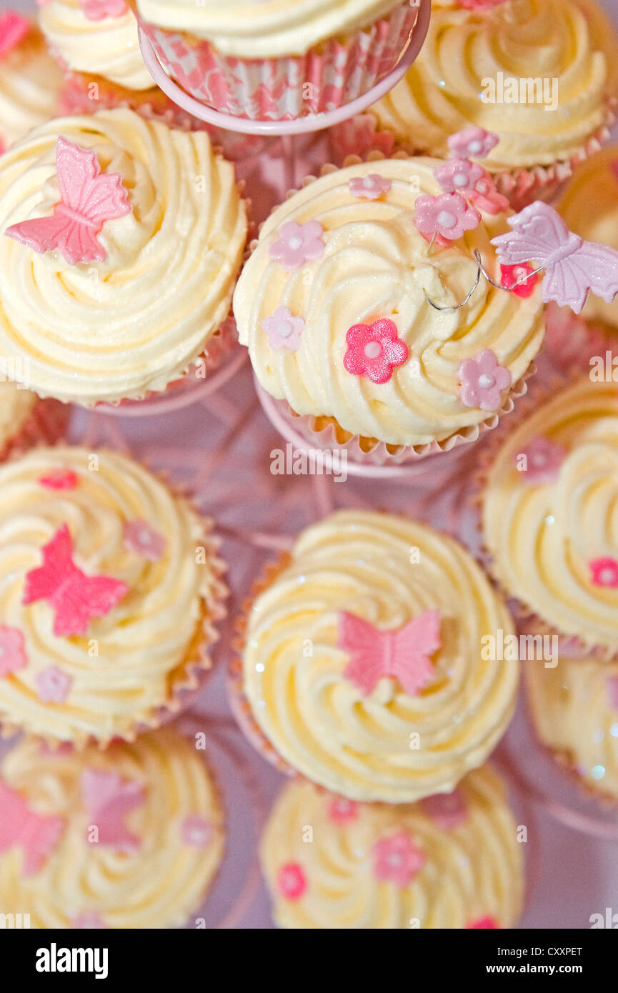 Cupcakes rosa Foto Stock