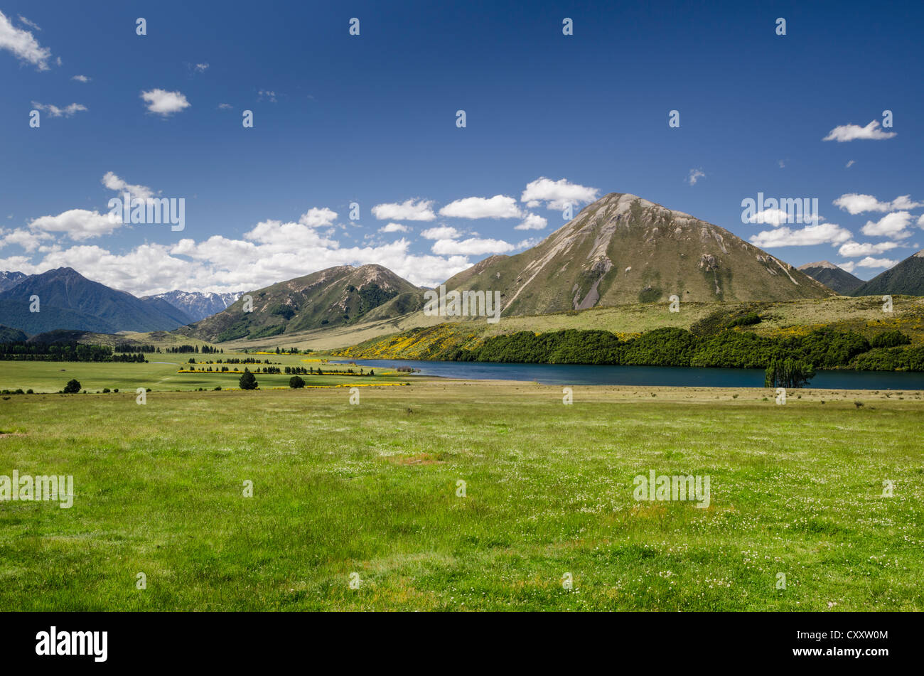 Monti e prati, gamma Craigieburn, facchini Pass, Canterbury, Isola del Sud, Nuova Zelanda, Oceania Foto Stock