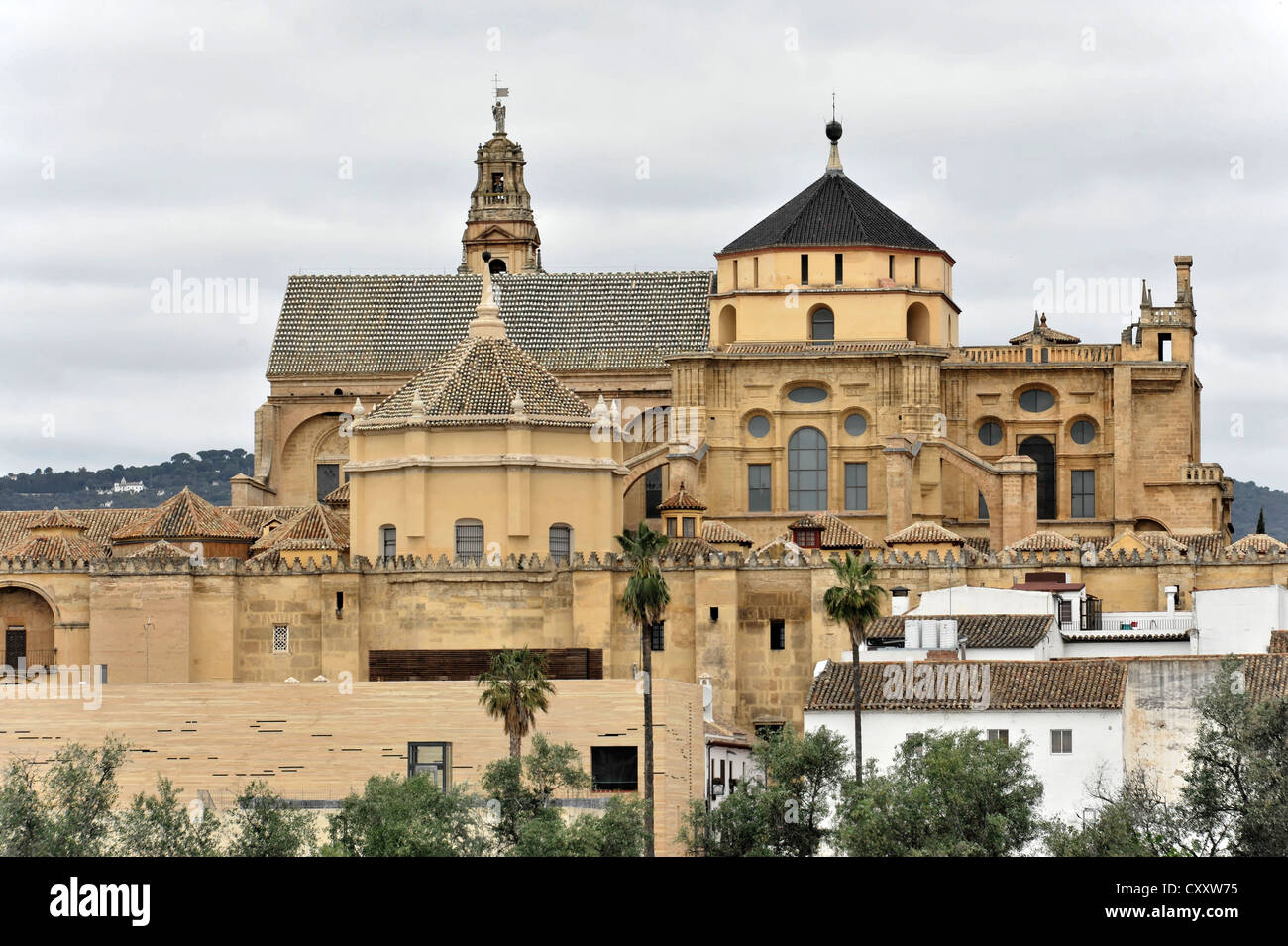 La Mezquita, Cattedrale-moschea di Cordova, Cordoba, Andalusia, Spagna, Europa Foto Stock