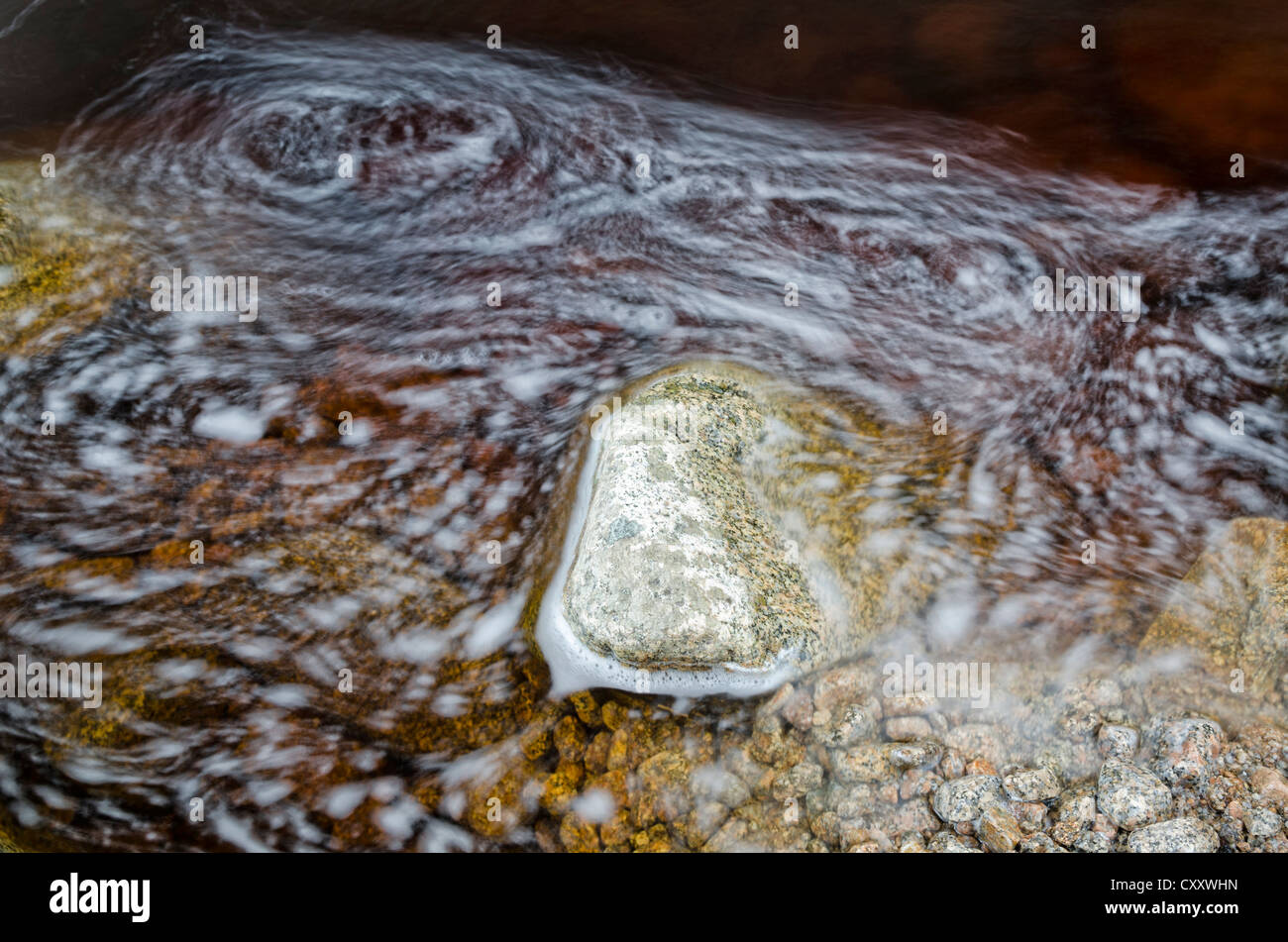 Con flusso di acqua marrone, colorato da tannini vegetali, condensato proantocianidine, Karamea, Kohaihai, Isola del Sud, Nuova Zelanda Foto Stock