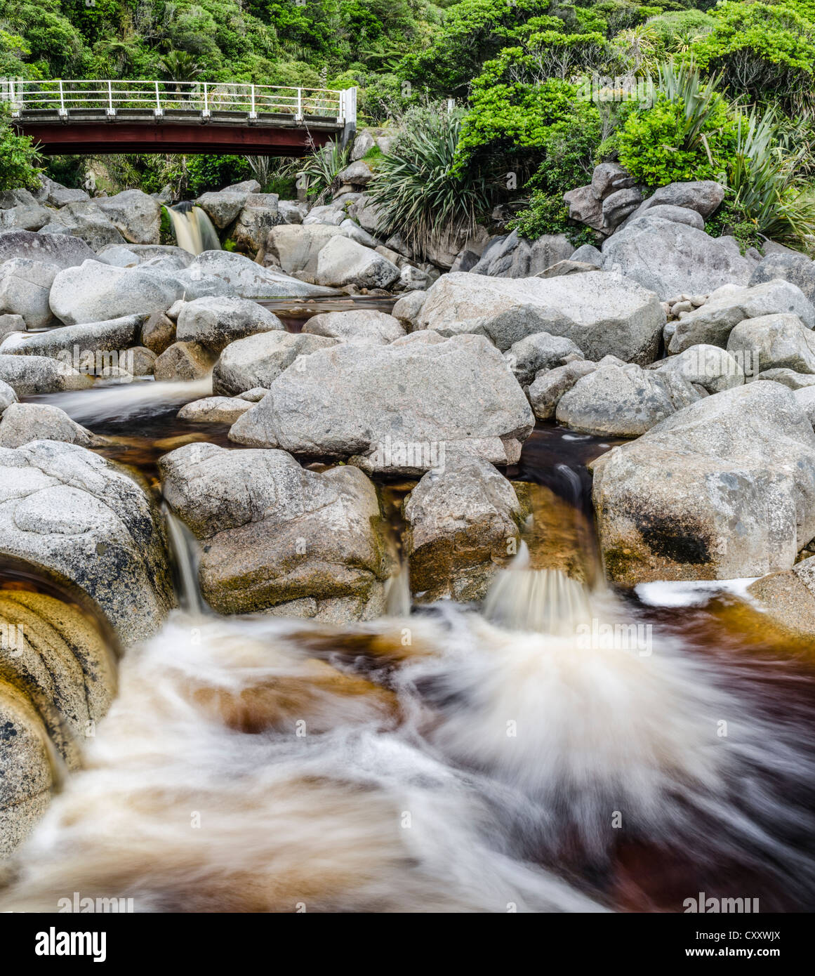 Ponte su un flusso di acqua marrone, colorato da tannini vegetali, condensato proantocianidine, Karamea, Kohaihai, Isola del Sud Foto Stock