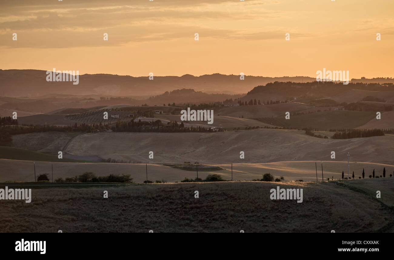 Paesaggio collinare al tramonto, Villamagna, Toscana, Italia, Europa Foto Stock